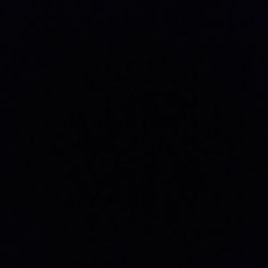 Meet your Posher, Lena